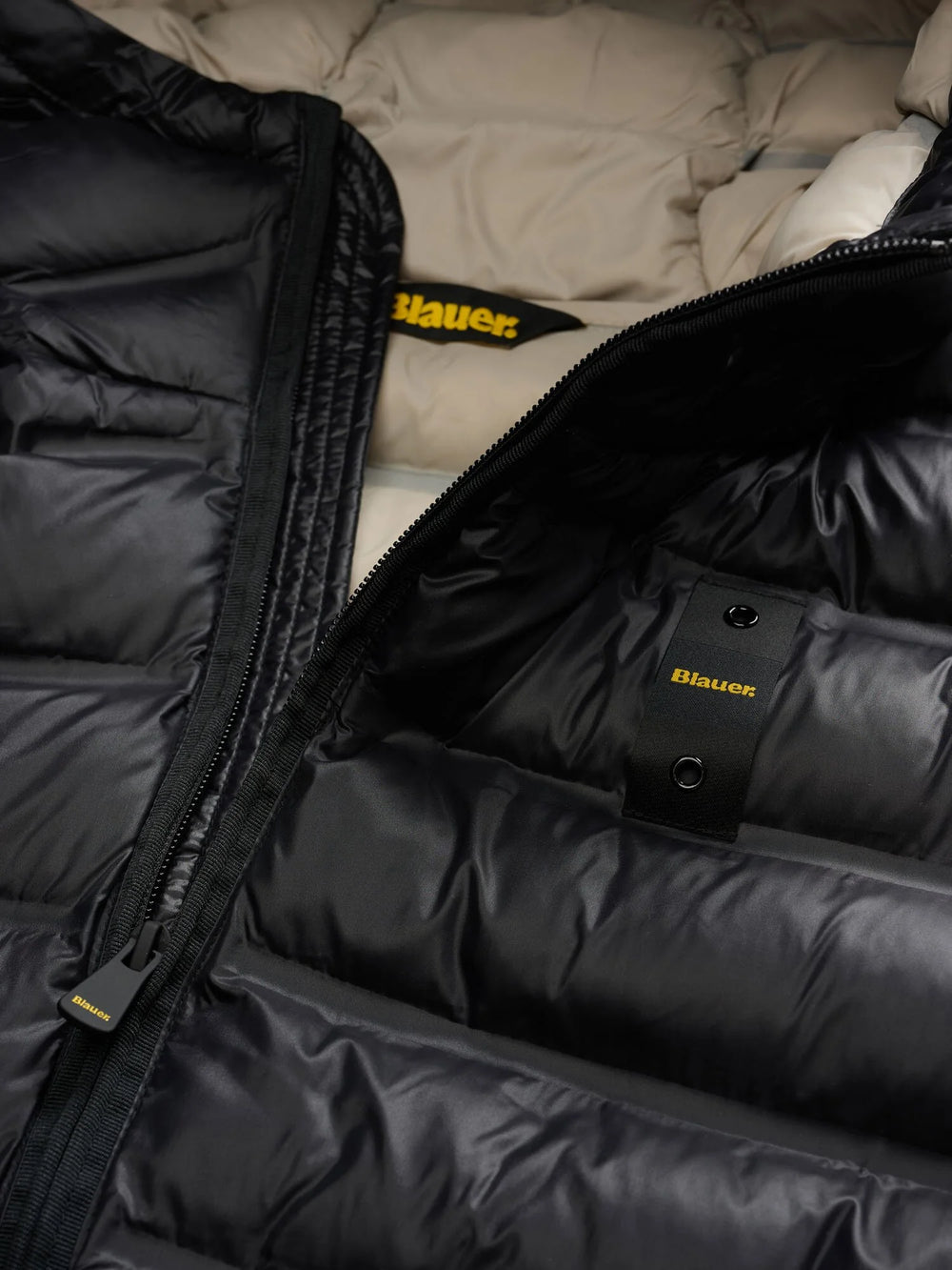 BLAUER CHARLES 26WBLUC02218-007284
