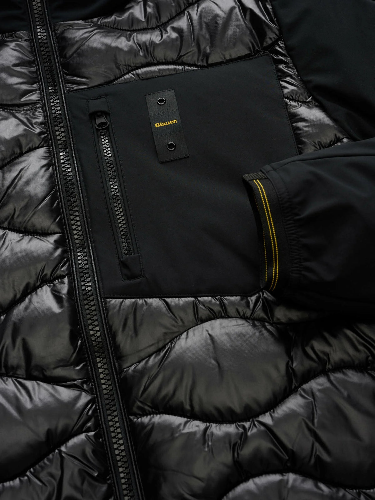 BLAUER ALBERT 26WBLUC08068-006355