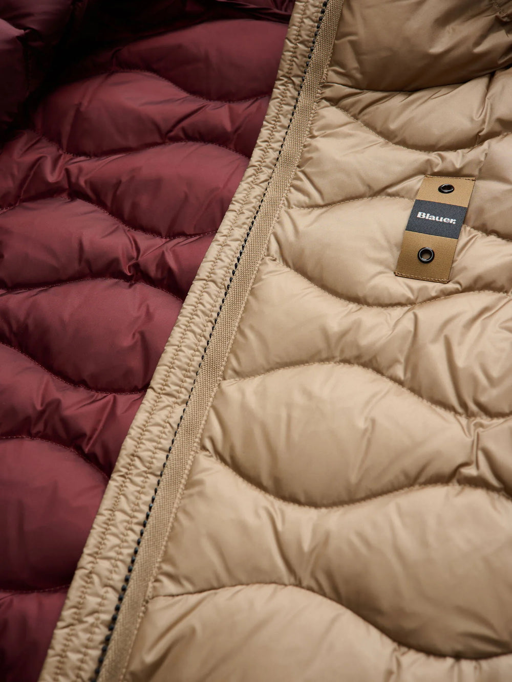 BLAUER CAMELIA 26WBLDC03033-006047